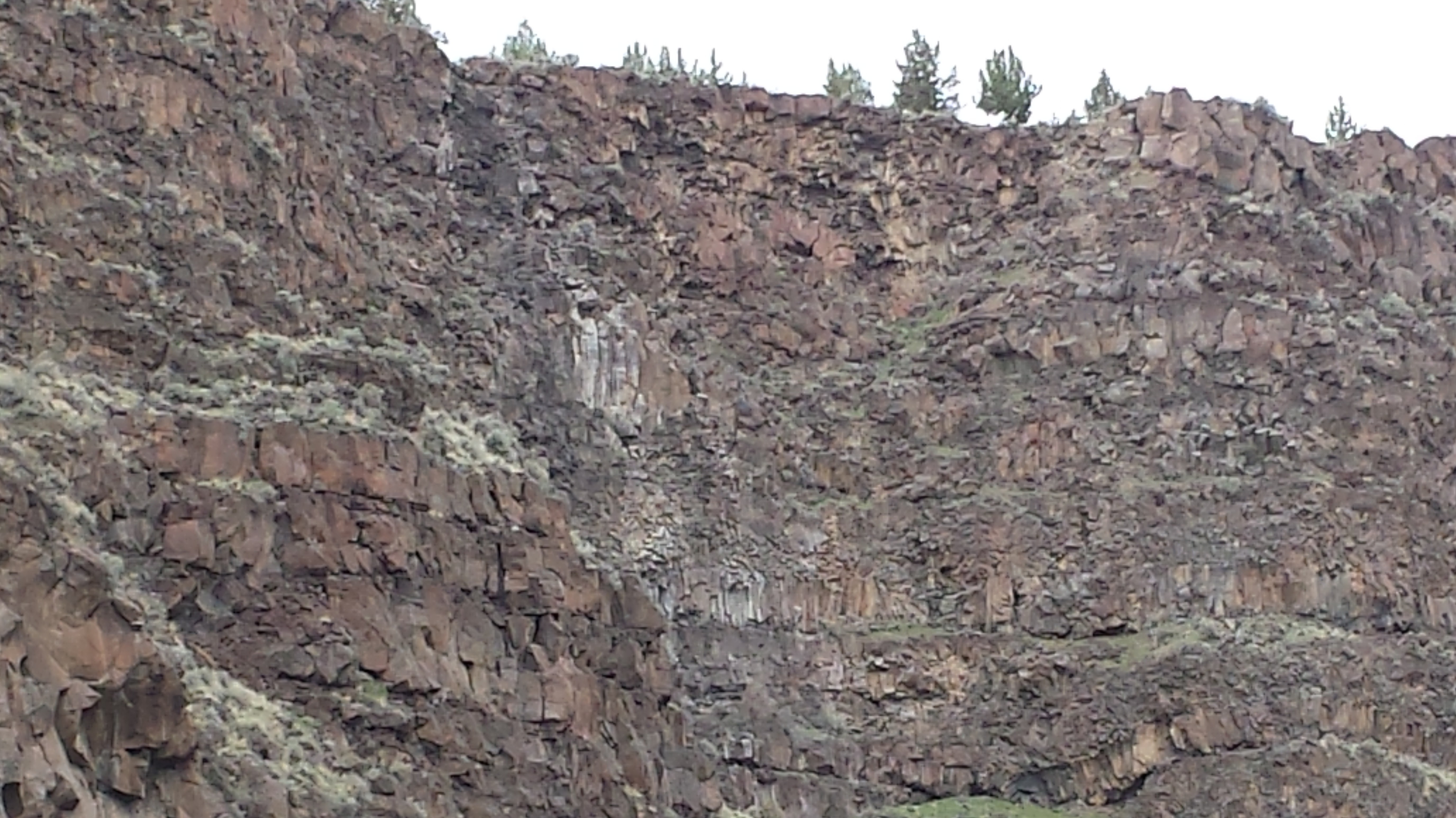 Photograph of stacked basalt flows exposed in wall of canyon, central Oregon USA