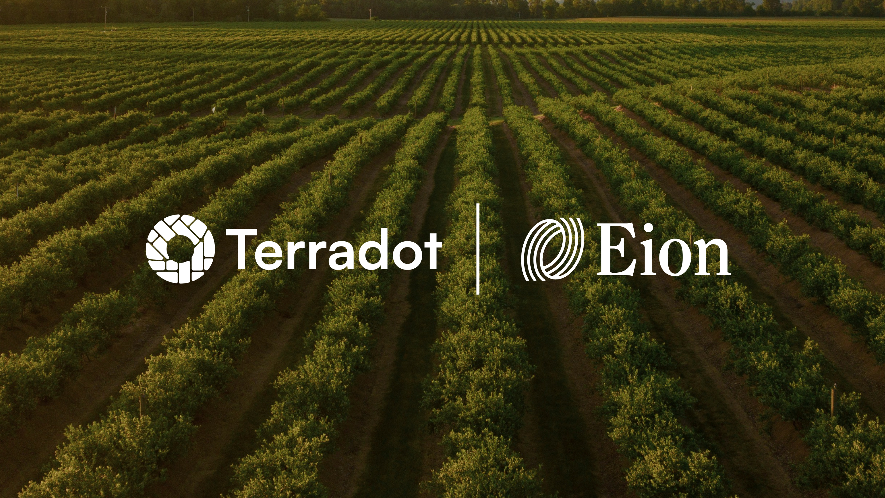 Company logos of Terradot and Eion set in front of a background photo of large agricultural field of trees.